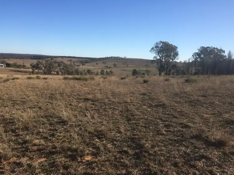 Fifth view of Homely rural property listing, Lot 113 Turill Bus Route Road, Turill NSW 2850