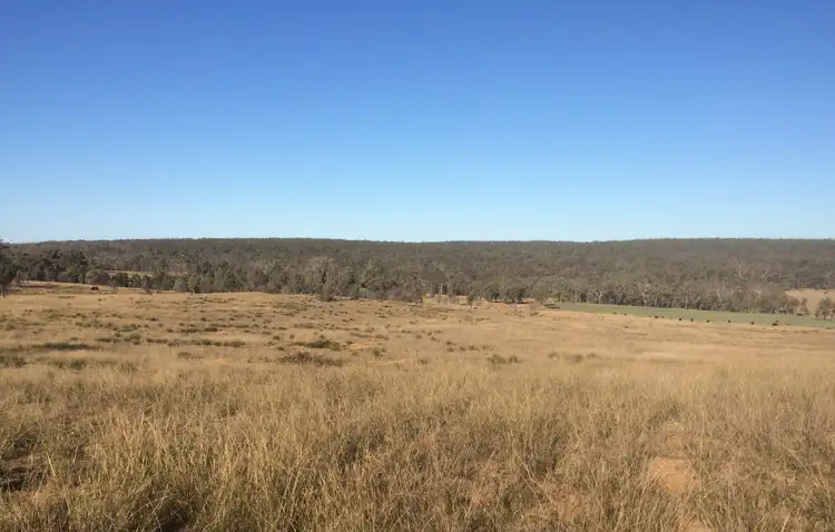 Sixth view of Homely rural property listing, Lot 113 Turill Bus Route Road, Turill NSW 2850