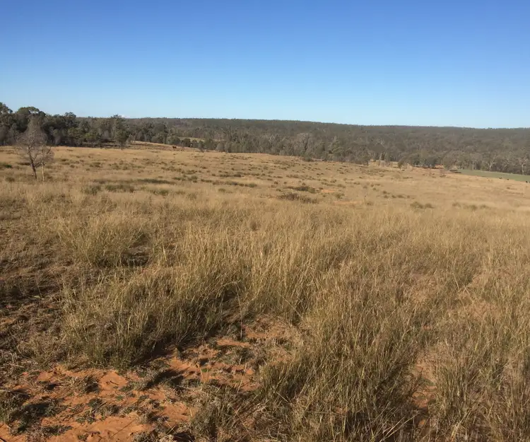 Seventh view of Homely rural property listing, Lot 113 Turill Bus Route Road, Turill NSW 2850
