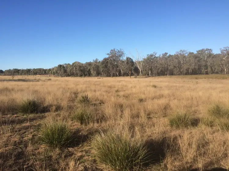 140 TURILL BUS ROUTE, Turill NSW 2850