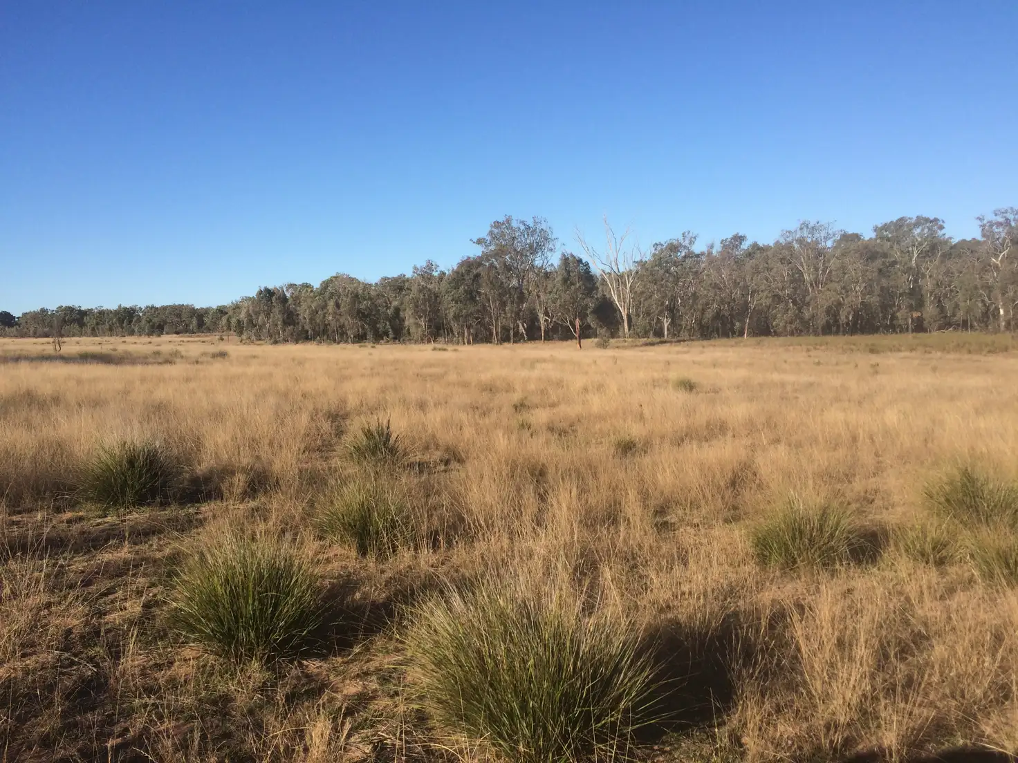 Main view of Homely rural property listing, 140 TURILL BUS ROUTE, Turill NSW 2850