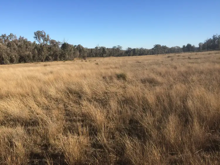 Second view of Homely rural property listing, 140 TURILL BUS ROUTE, Turill NSW 2850