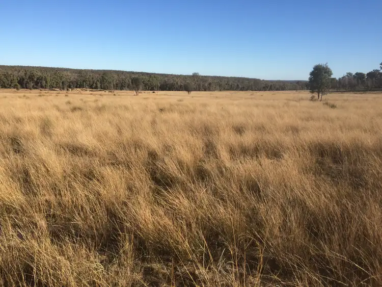 Third view of Homely rural property listing, 140 TURILL BUS ROUTE, Turill NSW 2850