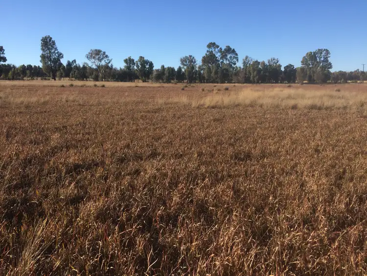 Fourth view of Homely rural property listing, 140 TURILL BUS ROUTE, Turill NSW 2850