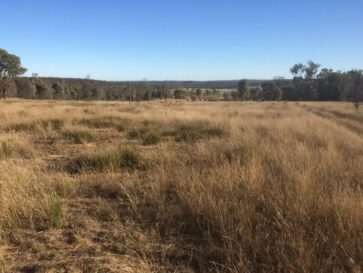 Seventh view of Homely rural property listing, 140 TURILL BUS ROUTE, Turill NSW 2850
