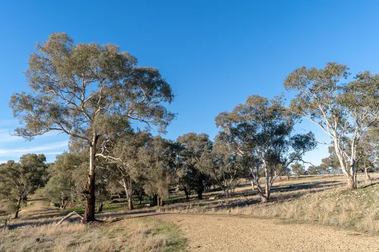 Fourth view of Homely land listing, LOT 3 The Escort Way, Cudal NSW 2864