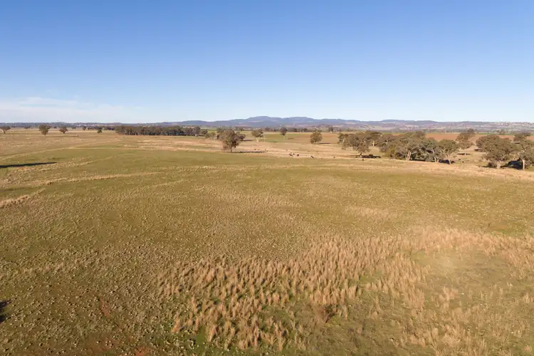 Fifth view of Homely land listing, LOT 3 The Escort Way, Cudal NSW 2864