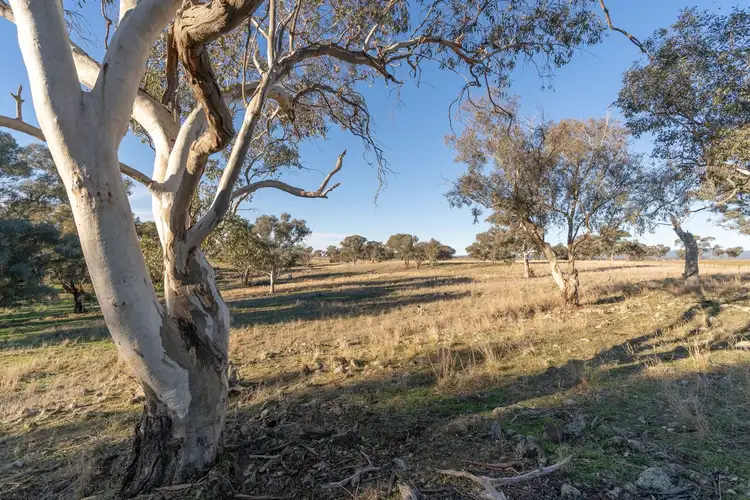 Seventh view of Homely land listing, LOT 3 The Escort Way, Cudal NSW 2864