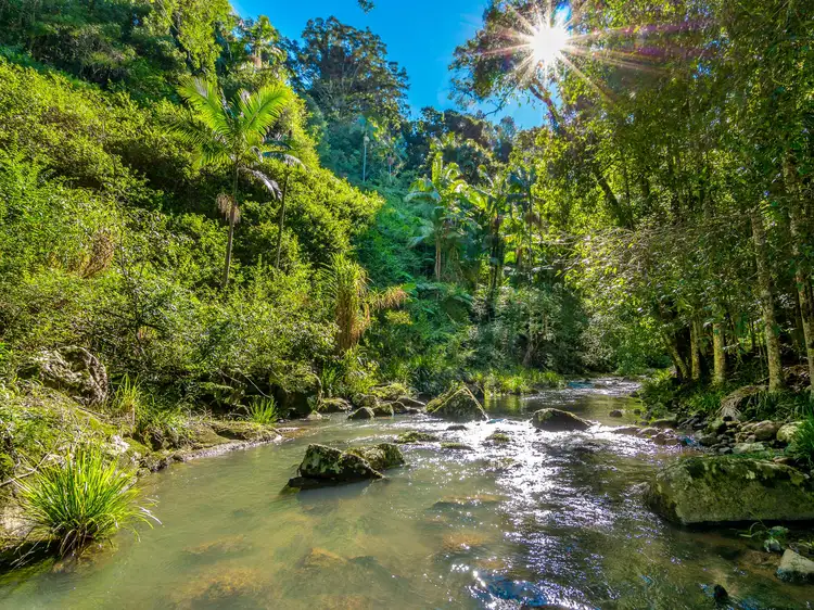 Main view of Homely rural property listing, 111 Upper Wilsons Creek Road, Upper Wilsons Creek NSW 2482