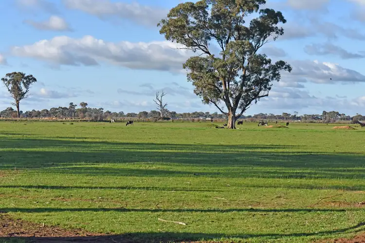 Cnr. Peppertree Lane & Gillies Road, Kyabram VIC 3620