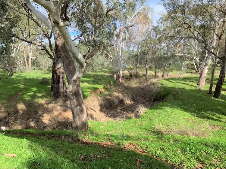 Third view of Homely rural property listing, 818 Heathcote-Rochester Road, Heathcote VIC 3523