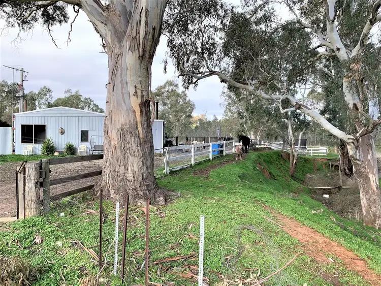 Seventh view of Homely rural property listing, 818 Heathcote-Rochester Road, Heathcote VIC 3523