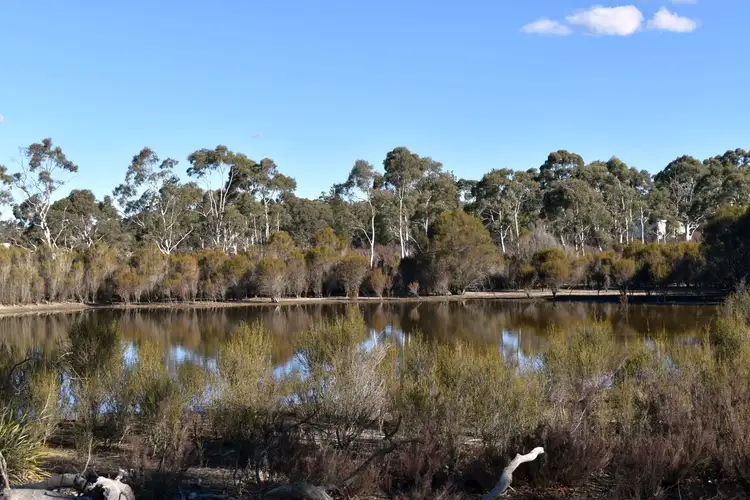 Third view of Homely rural property listing, 87 Paddys Close, Lower Boro NSW 2580