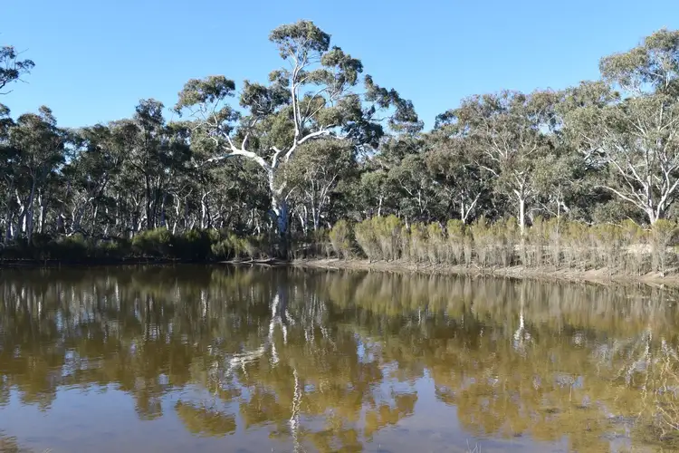Sixth view of Homely rural property listing, 87 Paddys Close, Lower Boro NSW 2580