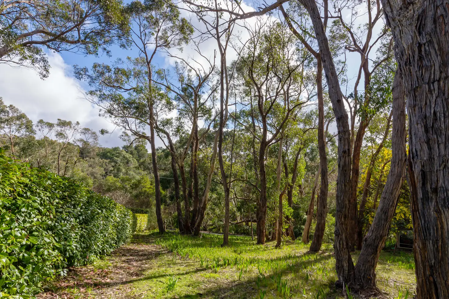 Main view of Homely land listing, 28 Ayr Street, Bridgewater SA 5155