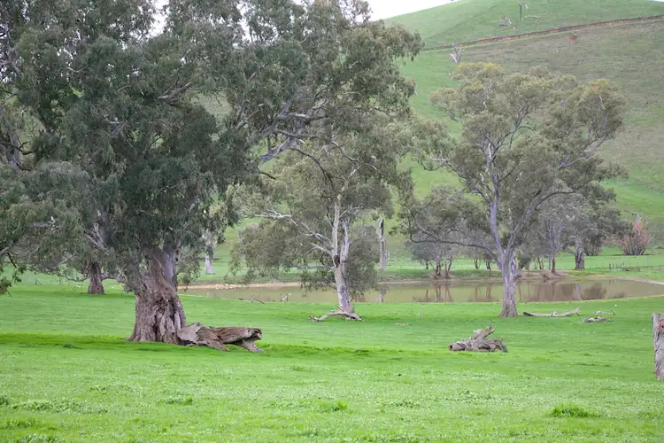 Main view of Homely rural property listing, 48 Frog Ponds Road, Yea VIC 3717