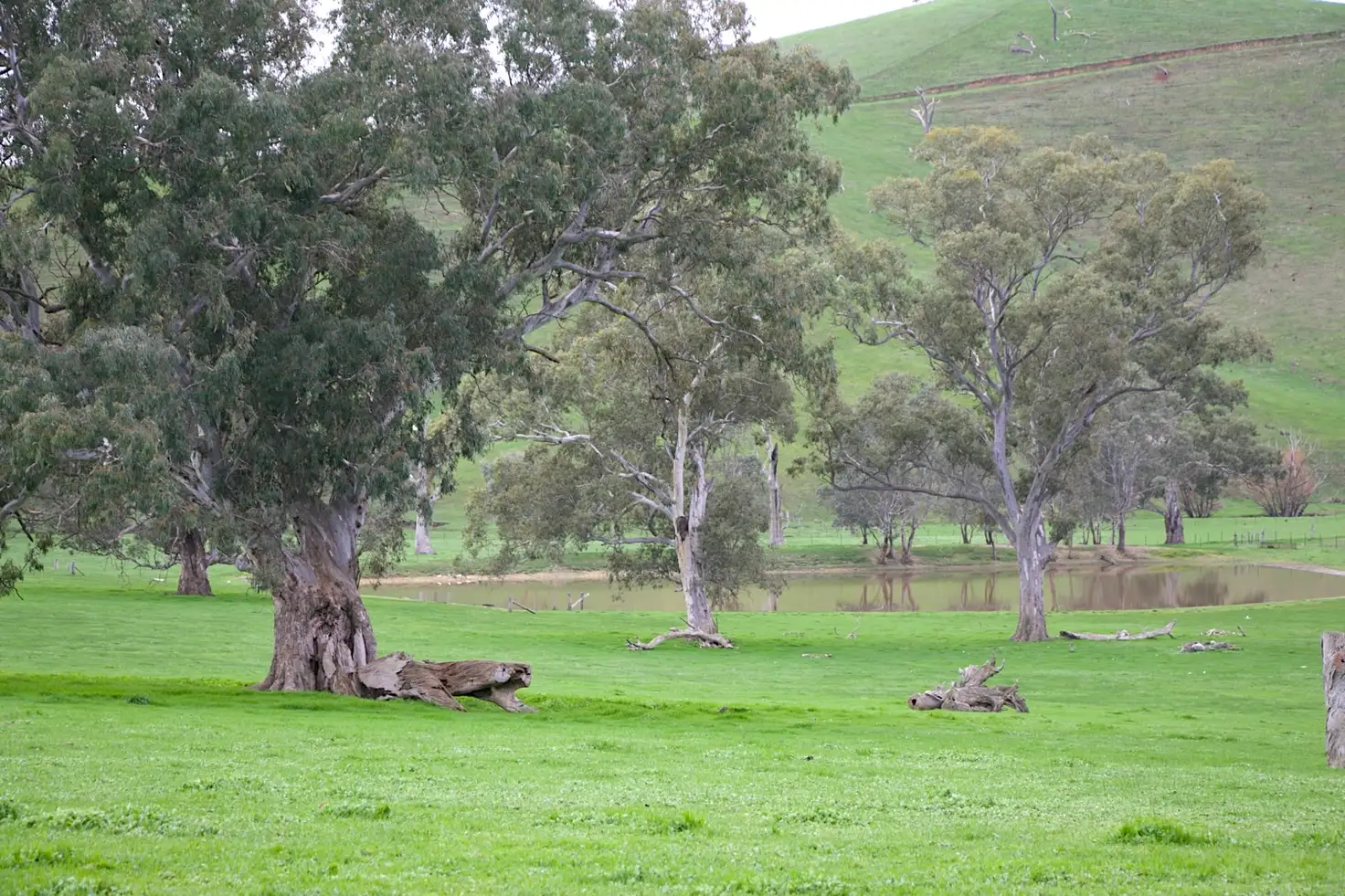 Main view of Homely rural property listing, 48 Frog Ponds Road, Yea VIC 3717