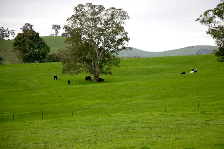 Fifth view of Homely rural property listing, 48 Frog Ponds Road, Yea VIC 3717