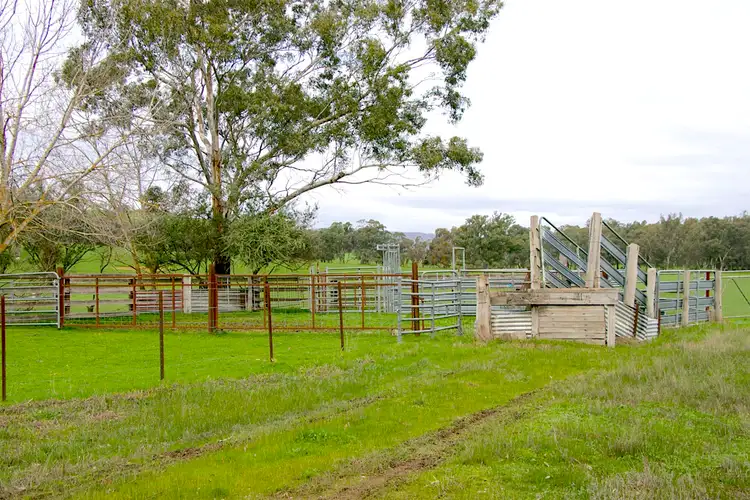 Sixth view of Homely rural property listing, 48 Frog Ponds Road, Yea VIC 3717