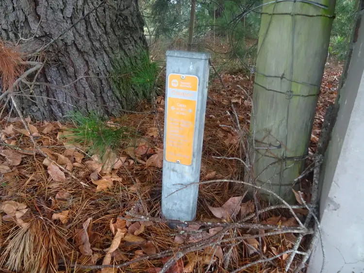 Sixth view of Homely land listing, 8 North Avenue, Enfield VIC 3352