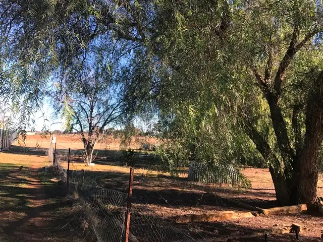 Sixth view of Homely land listing, 26 Eurimbla Road, Cumnock NSW 2867