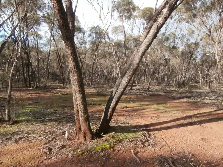 Third view of Homely land listing, LOT 17 Wallaby Way, Wedderburn VIC 3518