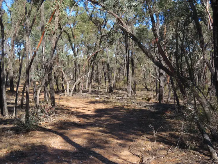 Fourth view of Homely land listing, LOT 17 Wallaby Way, Wedderburn VIC 3518