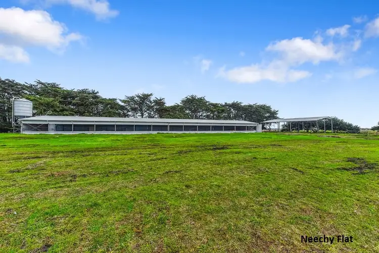 Seventh view of Homely rural property listing, 50 Neechy Flat Road, Kongorong SA 5291