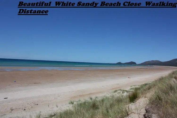 Sixth view of Homely house listing, 47 Honey Richea Road, Hellyer TAS 7321