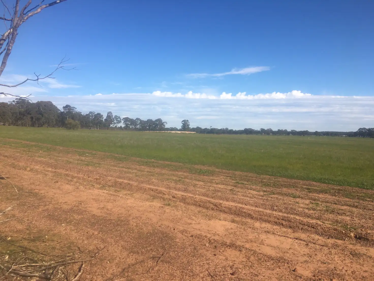Main view of Homely rural property listing, LOT 36 Wet Lane, Inglewood VIC 3517