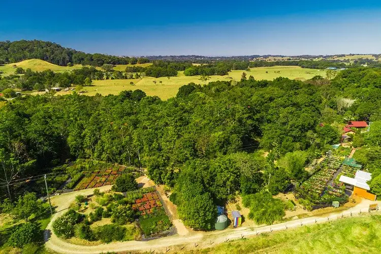 Second view of Homely rural property listing, 110 Yankee Creek Road, Mullumbimby Creek NSW 2482