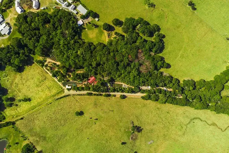 Third view of Homely rural property listing, 110 Yankee Creek Road, Mullumbimby Creek NSW 2482