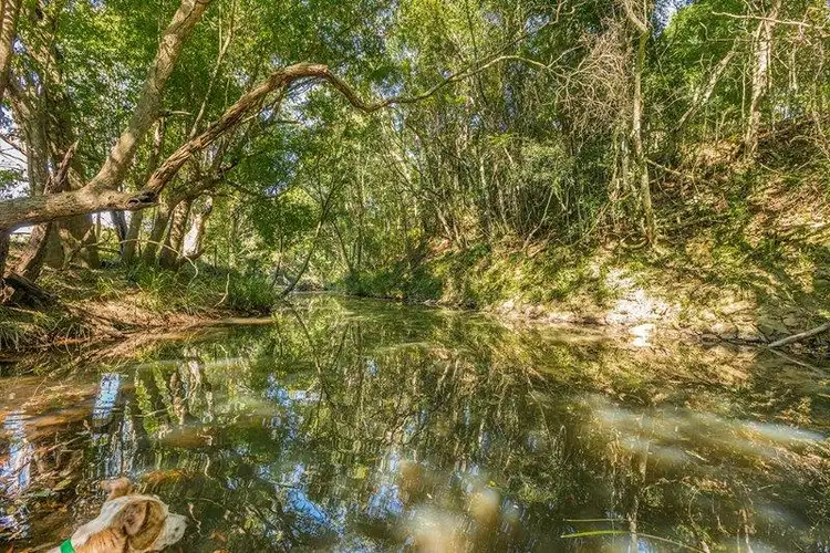 Fourth view of Homely rural property listing, 110 Yankee Creek Road, Mullumbimby Creek NSW 2482