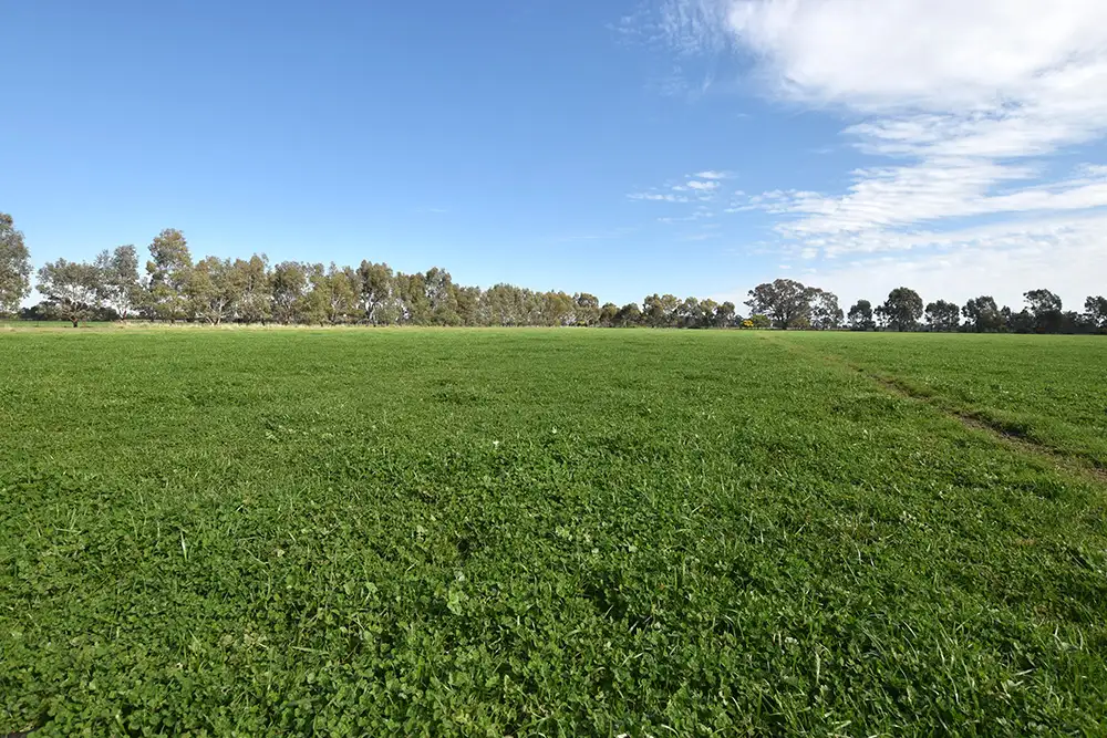 Main view of Homely rural property listing, 2245 Davies Road, Undera VIC 3629