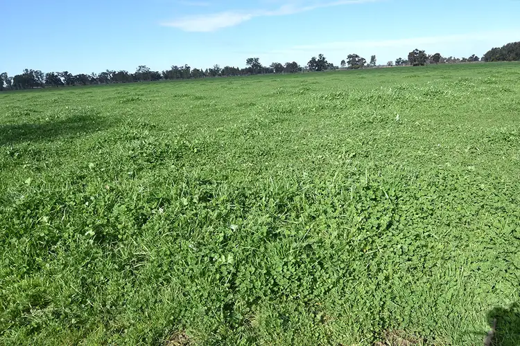 Fourth view of Homely rural property listing, 2245 Davies Road, Undera VIC 3629