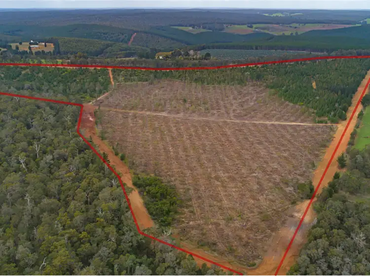 Third view of Homely rural property listing, 8225 Brockman Highway, Nannup WA 6275