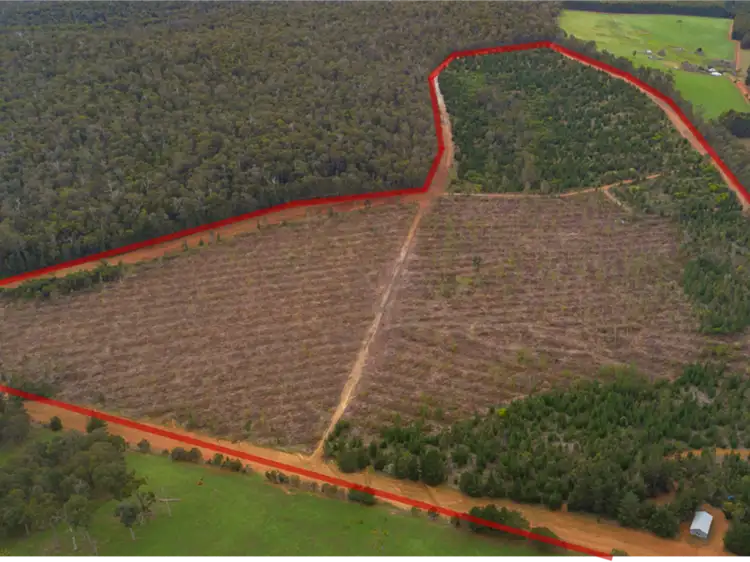 Fourth view of Homely rural property listing, 8225 Brockman Highway, Nannup WA 6275