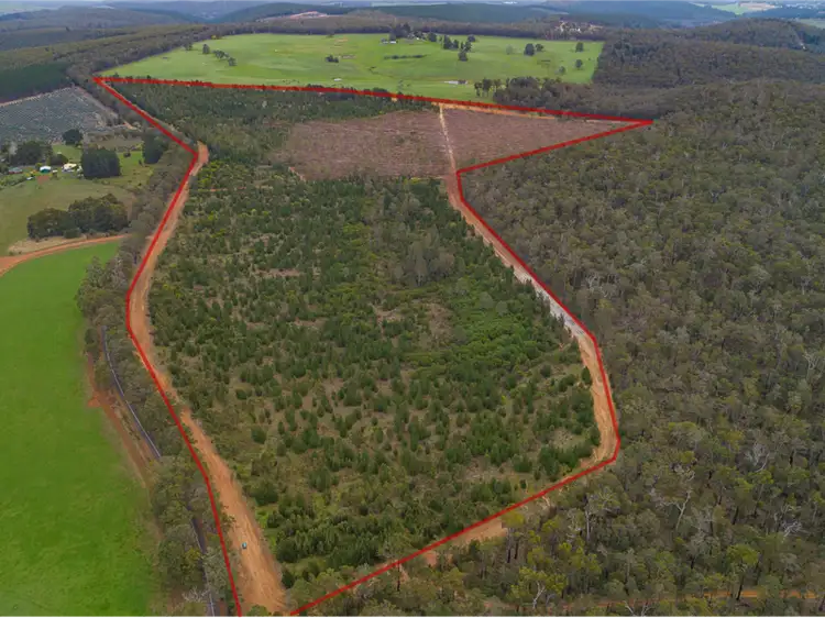 Fifth view of Homely rural property listing, 8225 Brockman Highway, Nannup WA 6275