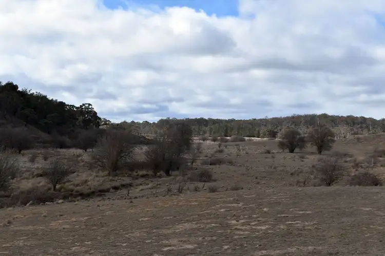 Seventh view of Homely rural property listing, 140 Sandy Point Road, Windellama NSW 2580