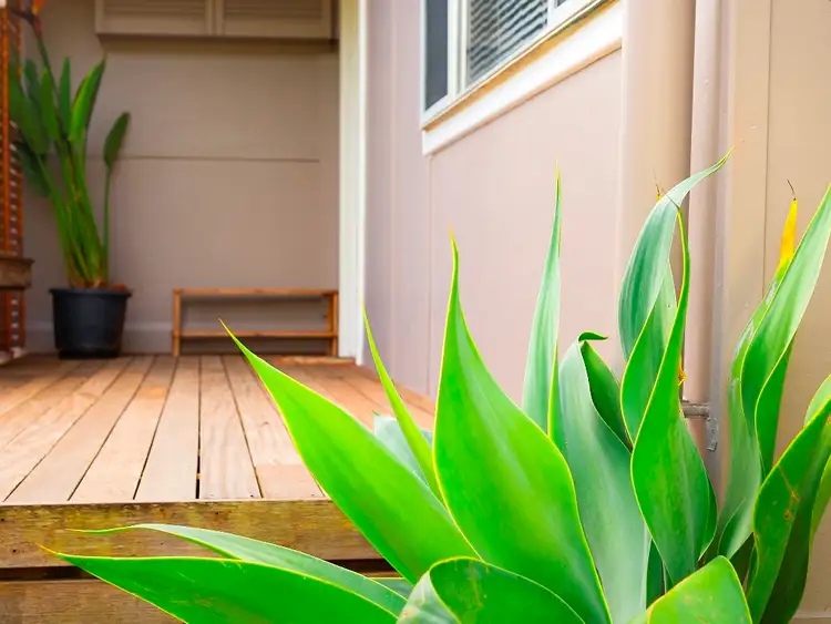 Third view of Homely house listing, 72 New City Road, Mullumbimby NSW 2482