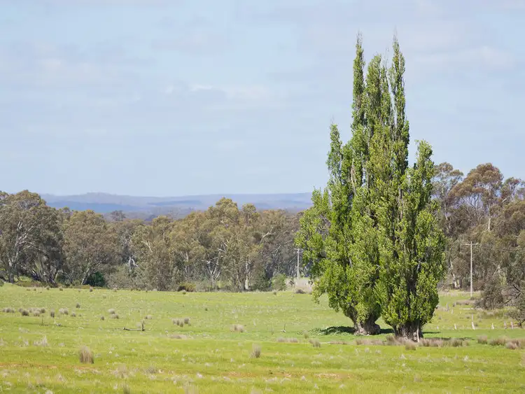 Second view of Homely rural property listing, Muckleford Gower Land, Muckleford VIC 3451