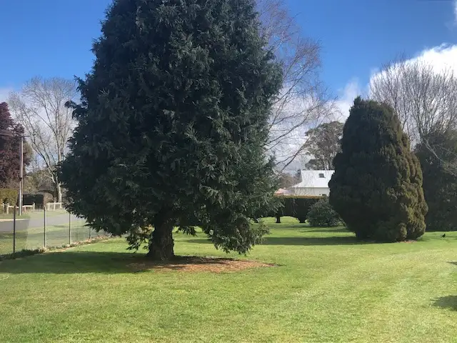 Sixth view of Homely house listing, 84 High Street, Trentham VIC 3458