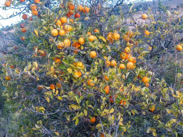 Fourth view of Homely rural property listing, Address available on request