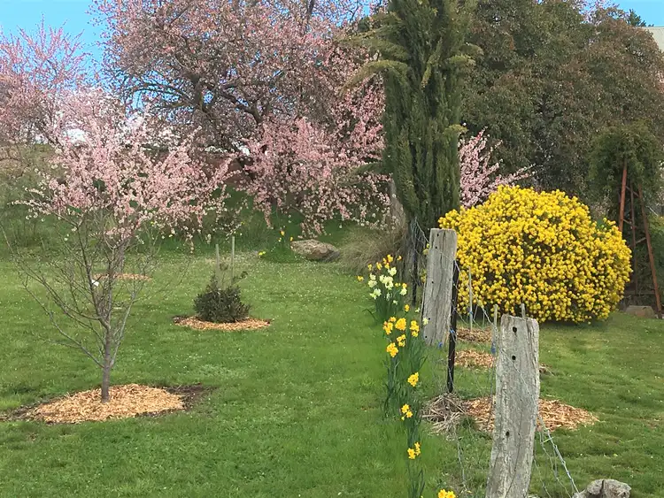 Sixth view of Homely house listing, 6 Hill Street, Clunes VIC 3370