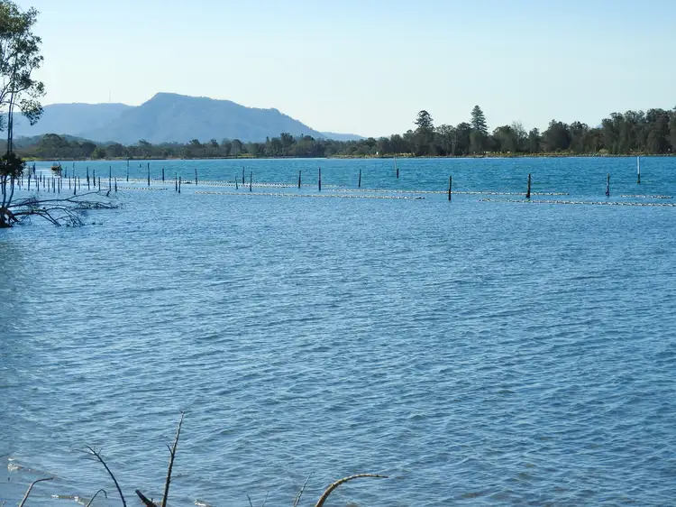 Fourth view of Homely land listing, 67 Pelican Bay Road, Mitchells Island NSW 2430