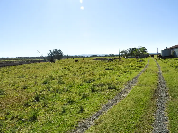 Sixth view of Homely land listing, 67 Pelican Bay Road, Mitchells Island NSW 2430