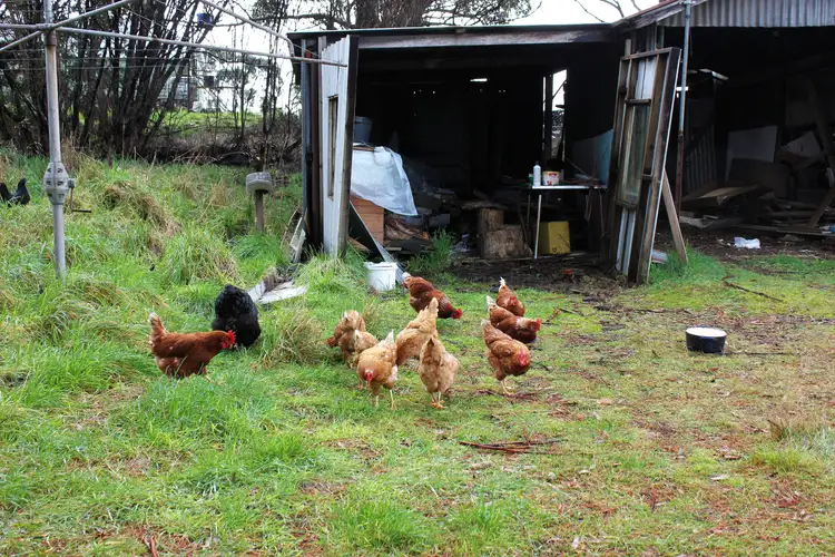 Fifth view of Homely house listing, 346 Main Street, Zeehan TAS 7469