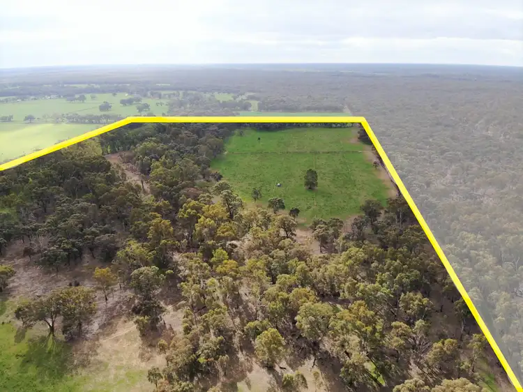 Second view of Homely rural property listing, LOT 61A Sternberg Road, Patho VIC 3564
