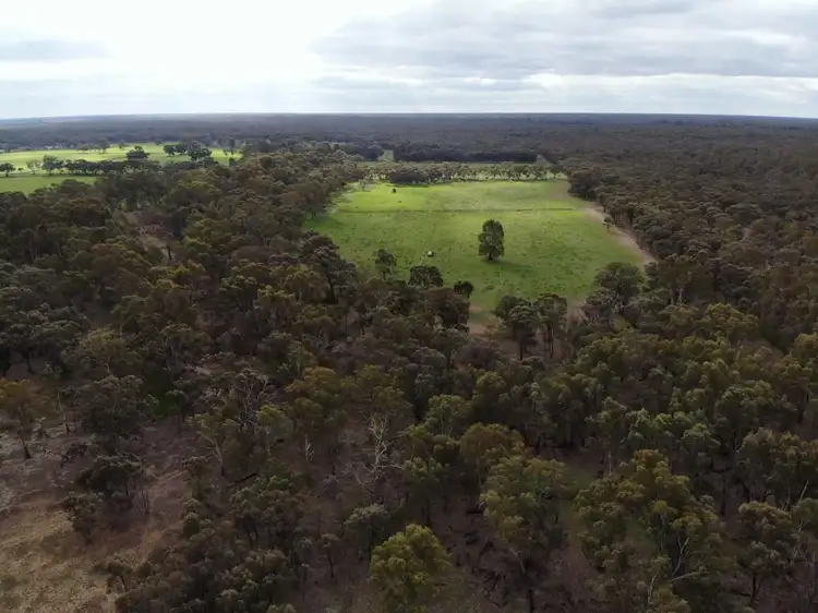 Fifth view of Homely rural property listing, LOT 61A Sternberg Road, Patho VIC 3564