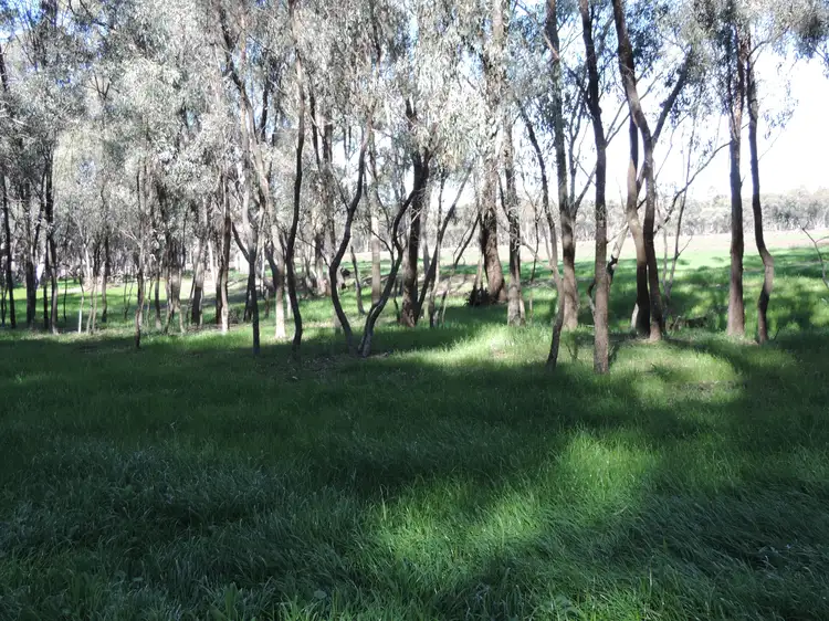 Seventh view of Homely rural property listing, LOT 61A Sternberg Road, Patho VIC 3564